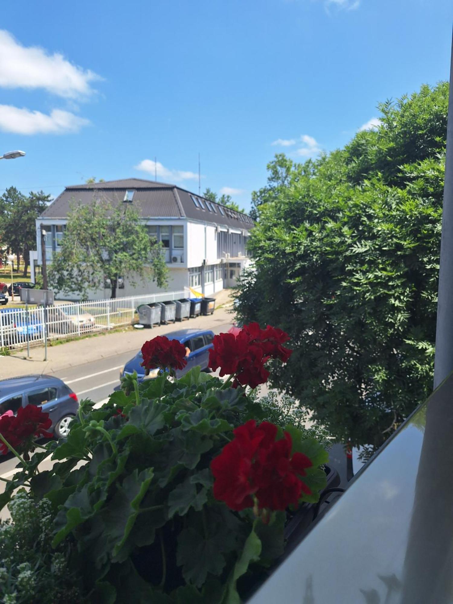 Garni Hotel Ema Kragujevac Exterior foto
